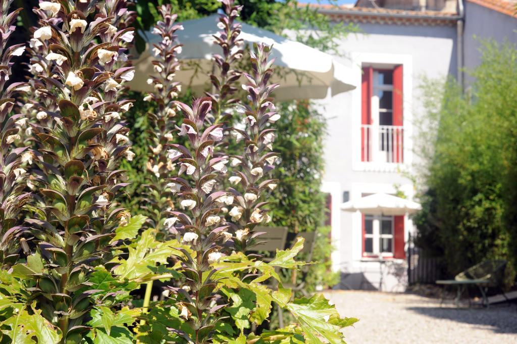 Les Chambres D'Andrea Marseillan  Bagian luar foto